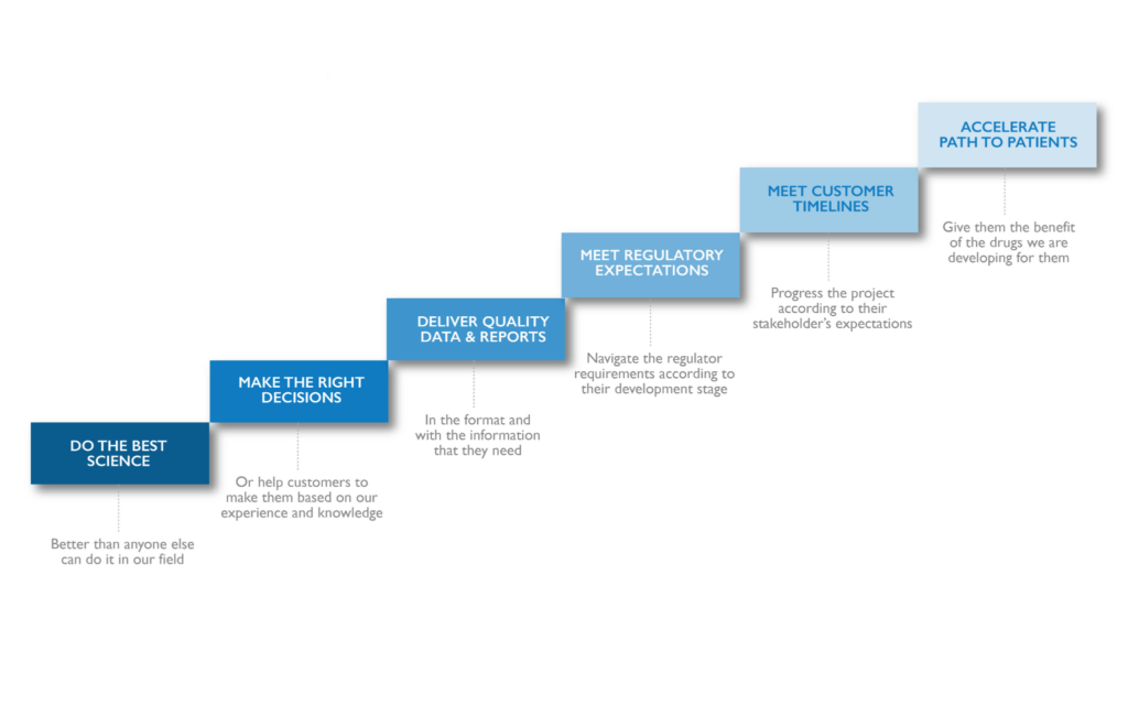 Blue graphic of six boxes in ascending order describing the steps Nanopharm takes to provide OINDP development excellence.